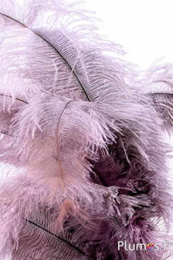 Strauss - 32-42 cm - hellgrau-rosa